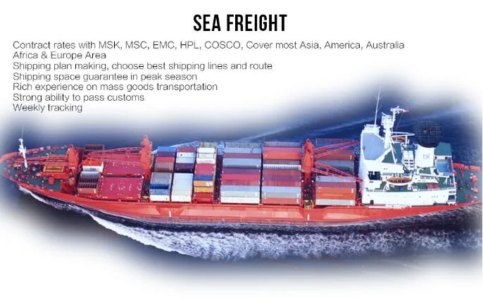 Consolidation/Sea Freight / Ocean Freight to Belawan