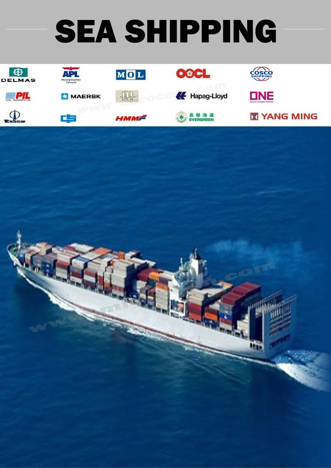Professional International Logisties Sea/Air Freight From China to Worldwide