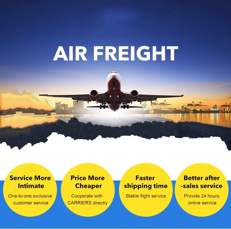 Freight Forwarder and Door to Door Shipping Service From China to Canada