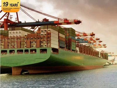 International Sea Shipping Delivery Service Matson Ocean Sea Freight From China to USA Forwarding Agent Amazon Fba