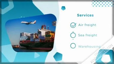 Air/Ocean/Sea Shipment/Logistics/Shipping Service/Air Cargo Service/Air Shipping Freight From China to South America